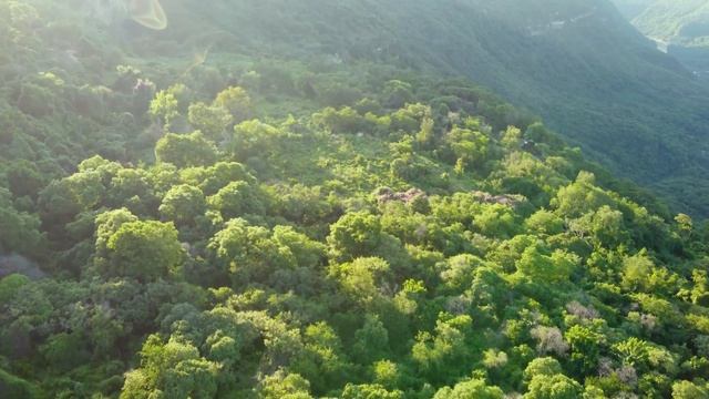 #areal view of a lovely place #calm place смотреть онлайн