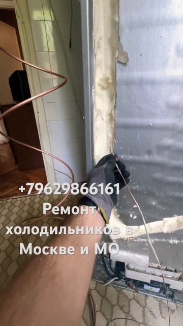 ❗️ГЛАВНАЯ ПРОБЛЕМА СОВРЕМЕННОГО ХОЛОДИЛЬНИКА❗️Минутка просвещения от PROgmatika👨🎓 смотреть онлайн