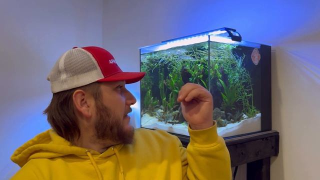Seachem Pristine Review | How to Clear Aquarium Water + GIVEAWAY!! смотреть онлайн