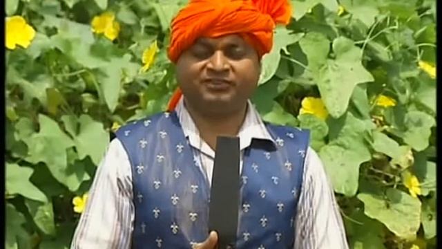Krishidarshan (BC) 24-8-2017 Galka ki unnat kheti . смотреть онлайн