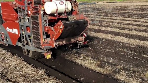 Dewulf Ra3060 & Kwatro Xtreme Potato Harvesters