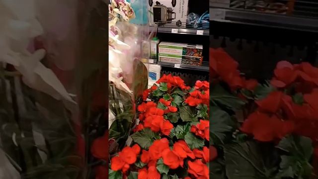 Новый магазин I Эпицентр открылся в Кременчуге смотреть онлайн