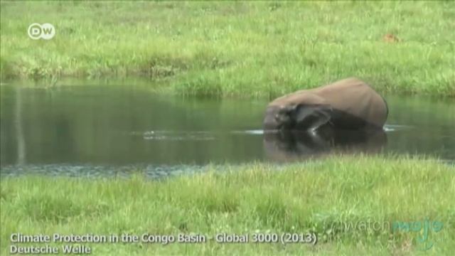 Top 10 Places to See Before They Disappear смотреть онлайн