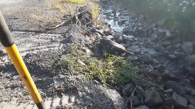 Hard to believe this little trees roots смотреть онлайн