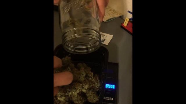 ILGM Autoflower UPDATE Weighing GIRL SCOUT COOKIES!!! Total Weight of Dry Flower From 1 Plant + Kei смотреть онлайн