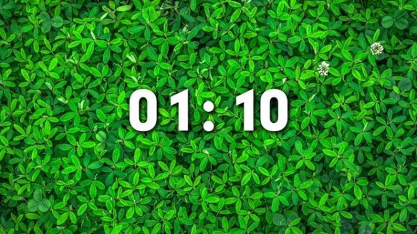 Countdown Timer - 2 Minutes and 30 Seconds