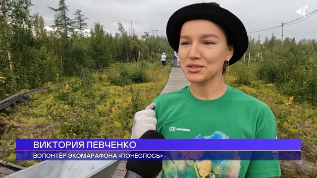 1208 ДОБРЫЕ РУКИ ДЛЯ АРКТИКИ смотреть онлайн