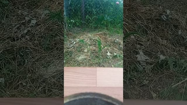 4 июля 2022 г. смотреть онлайн