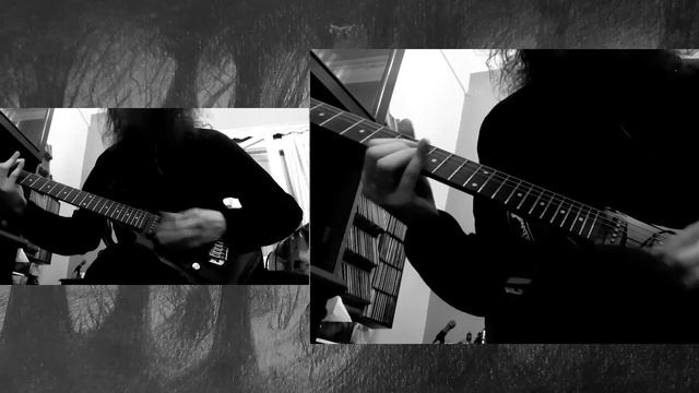 Catamenia - Coldbound | Guitar Playthrough смотреть онлайн