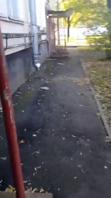 Будни Дезинсектора 8-923-516-05-15 смотреть онлайн