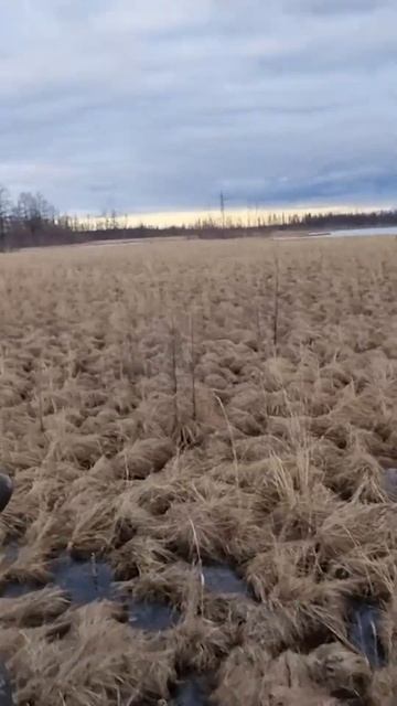 Полное видео смотрите на нашем канале #охота #бездорожье #болотоход #вездеход #рыбалка #offroad смотреть онлайн