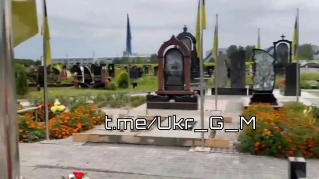 Аэроэкспресс к Бандере работает как часы 5 смотреть онлайн