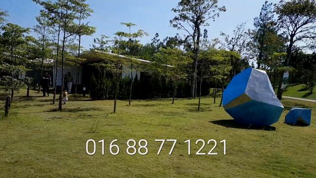 Flamingo _ Villa 338 смотреть онлайн