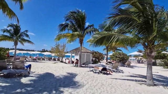 OCEAN CAY ОУШЕН-КЕЙ Круиз #круиз #лайнер #путешествия #круизы #msc #багамы #жизньвгермании #круизер смотреть онлайн
