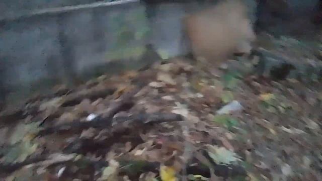 Тегинг на гаражах😱Нас поймали( смотреть онлайн