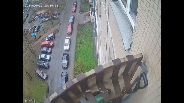 25 апреля 2024 года 20 час собачники и топтуны помогайки смотреть онлайн