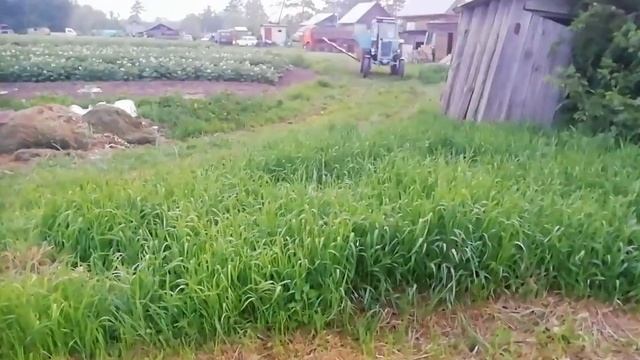 КУПИЛИ НОВУЮ КОСИЛКУ обслуживание, проверка в работе смотреть онлайн