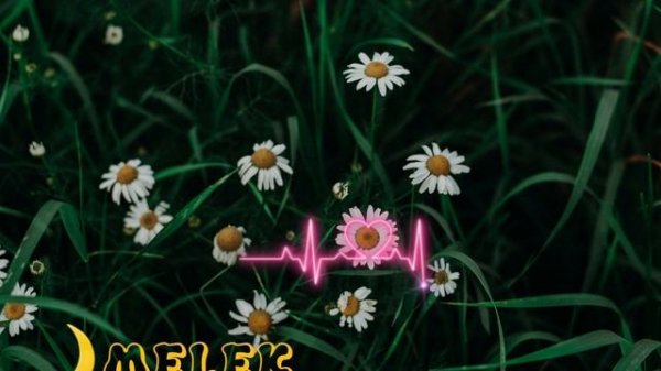 Самый красивый нашид😊😍 лечения для сердца❤️