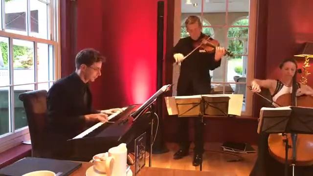 Skyfall - Adele (Violin, Cello & Piano -Trio Vivo) смотреть онлайн