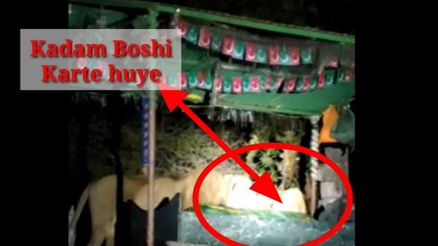इस दरगाह पर शेर देते है सलामी। 2020 Ki zinda karamat | बालम शाह पीर गुजरात इंडिया | sheron ki hazr смотреть онлайн