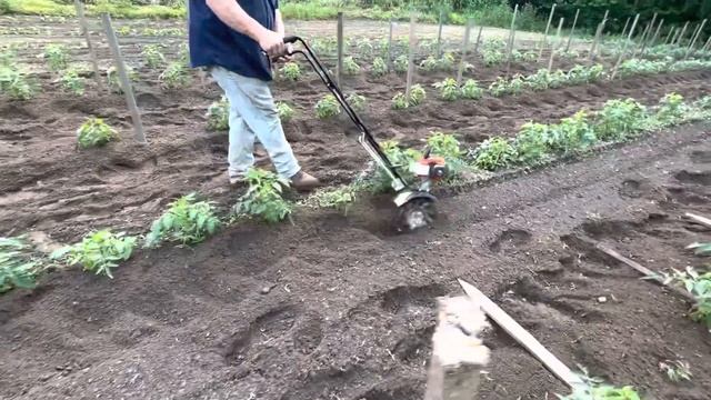 Echo tc-210 garden tiller review смотреть онлайн