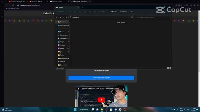 COMMENT AVOIR UN CHEAT ROBLOX PAS DE VERUS DELTA V3 смотреть онлайн