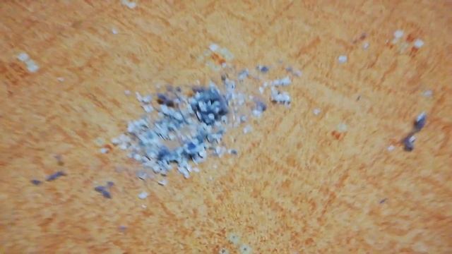 SilverCrest Shaz 22.2 c3 test on carpet without brush | RoboVacCollector смотреть онлайн