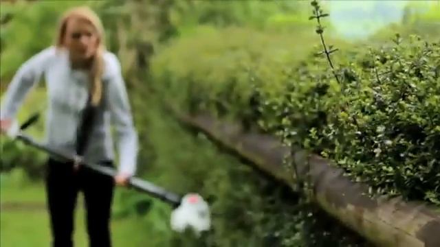 Eckman Lightweight 8ft 6 ½" Long Reach Telescopic Hedge Trimmer смотреть онлайн