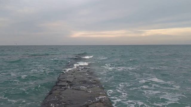 Чайка зимой смотреть онлайн