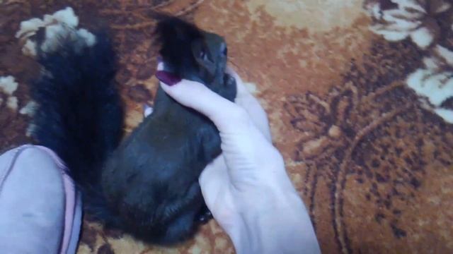 Малыш лежит на руке смотреть онлайн
