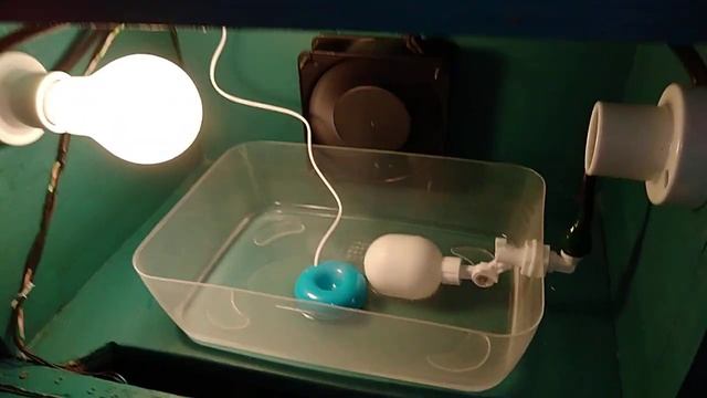 Increase humidity level in incubator using donut humidifier #arduinoincubator смотреть онлайн