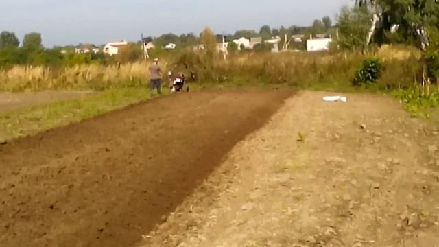 заря 61Н Е ЛЮКС оре сам) смотреть онлайн