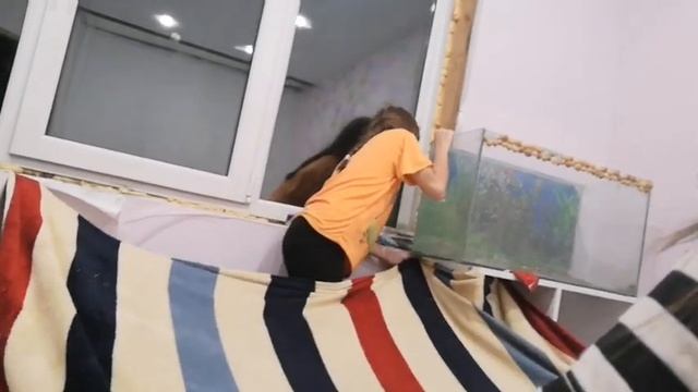 #24часа #вштабике 24 часа в штабике с лизой ❤️🎉 смотреть онлайн