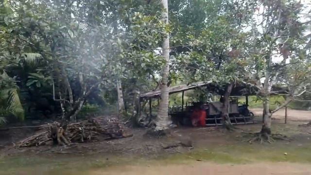 MISTERI DUA EKOR HEWAN LANGKA VIRAL!! SATUNYA BERTARING PANJANG|KENAROF смотреть онлайн