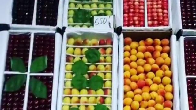 Дорогомиловская рынок смотреть онлайн