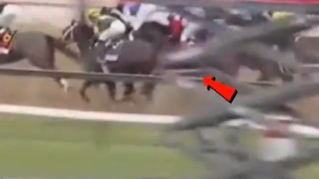 Racing Term #230 "Pocket" of Frankie Lovato's 365 Days of Terminology смотреть онлайн