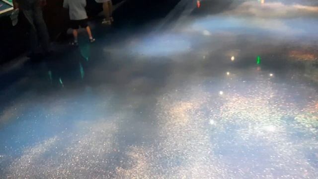 Океанариум на острове Русский. смотреть онлайн