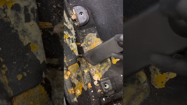 Химчистка Рено с яйцами в салоне #car #auto #автосервис #авто #юмор #химчистка #detailing #diy #рен смотреть онлайн