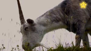 50 минут Звуки домашних животных для детей. Синий трактор везёт животных и другие