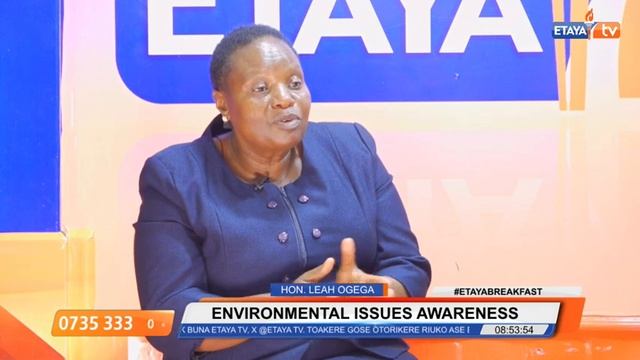 One on One with Kisii and Nyamira County Environment Ministers as the World marks Environment Day смотреть онлайн