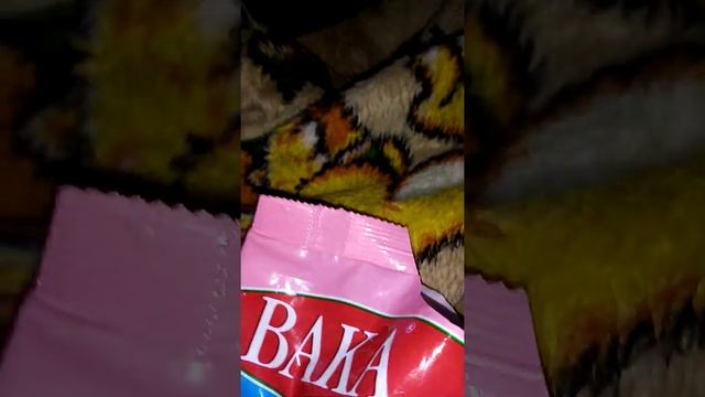Мой кот ест корм для хомяков! смотреть онлайн