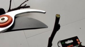 Обзор секатора Plantic P200