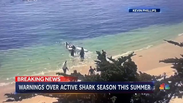17-Year-Old Attacked By Shark After Sharks Were Spotted Near The Shore Days Before смотреть онлайн