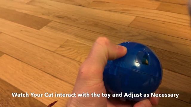 Make your cat lose weight~~Slim Cat Feederball by Petsafe Review смотреть онлайн
