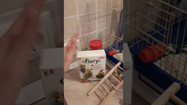 Правильное питание маленького чеха смотреть онлайн