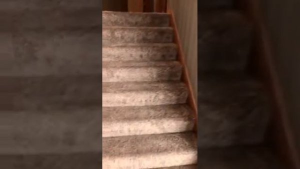 Home For Sale: 72 Spring Hill Bay Hudson,WI 54016