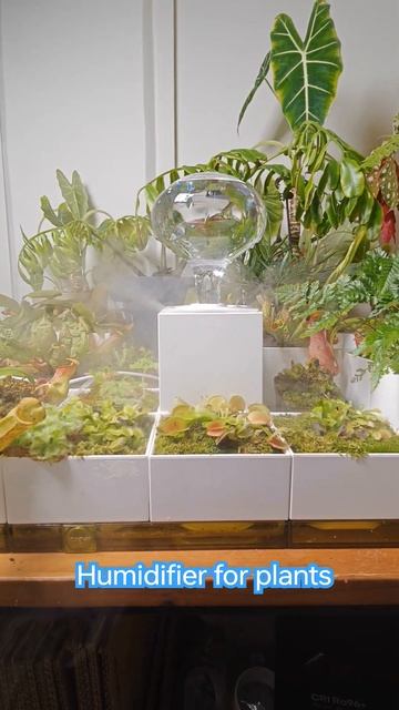 LeGrow humidifier for plants смотреть онлайн
