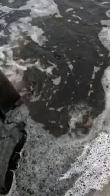 ЗЭТ- для охоты и рыбалкиспасибо за видео нашему клиенту, это как раз, когда ты и охотник и рыбак смотреть онлайн