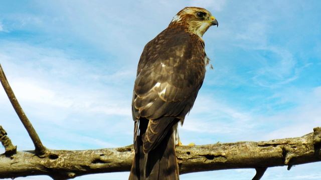 Астраханские фотопейзажи 2024 смотреть онлайн