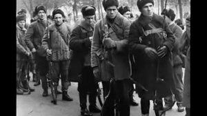 «В полях за Вислой сонной».